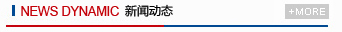 新闻动态